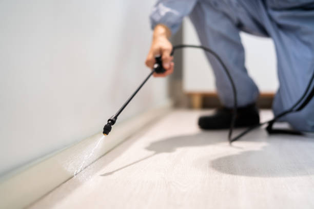 Bed Bug Pre-Treatment Preparation Assessment in Geneva